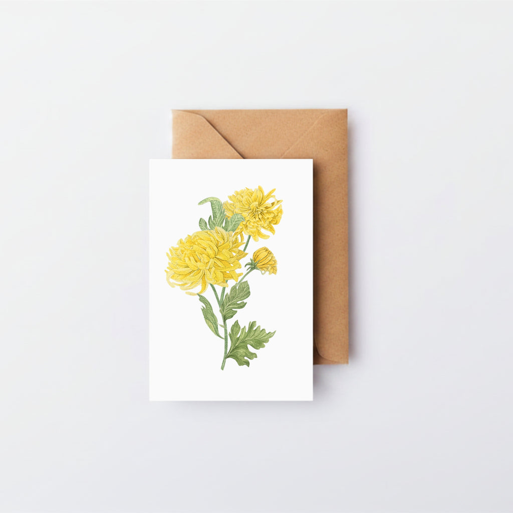 Chrysanthemum Card